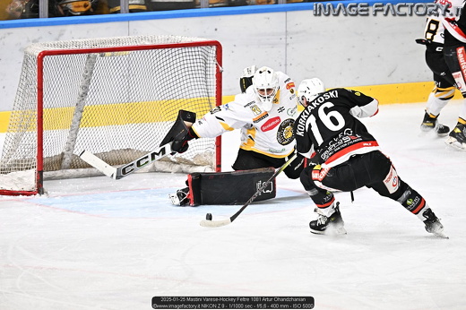 2025-01-25 Mastini Varese-Hockey Feltre 1081 Artur Ohandzhanian
